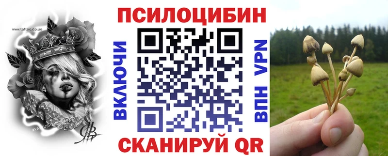 Псилоцибиновые грибы Cubensis  Купить закладки  Протвино 